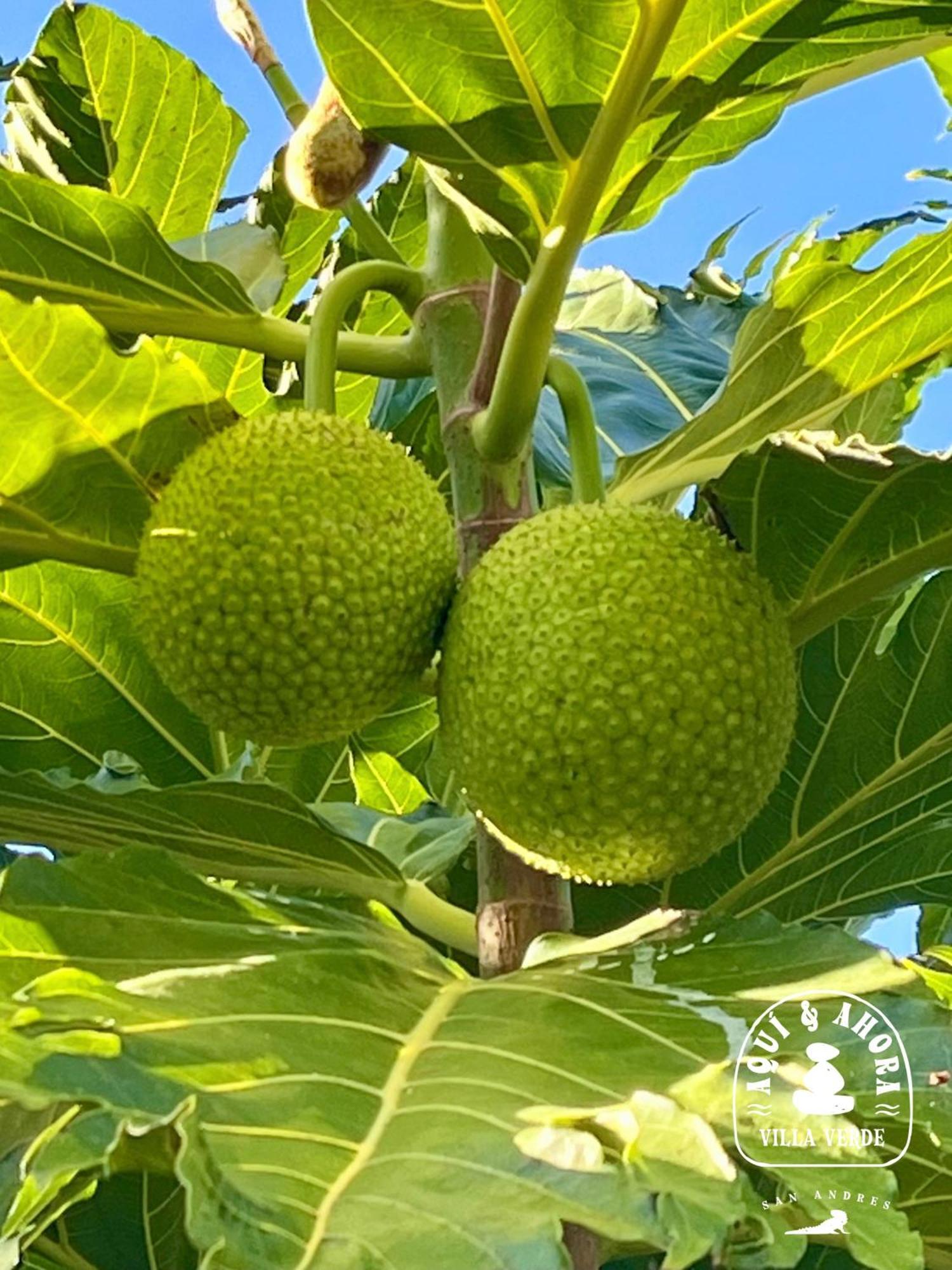 Aqui Ahora At Villa Verde San Andrés Eksteriør billede